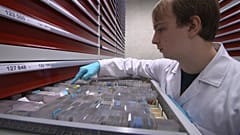 Darmkrebs - Biobanken helfen bei der Früherkennung