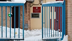 Пола Уилана просят выпустить под залог