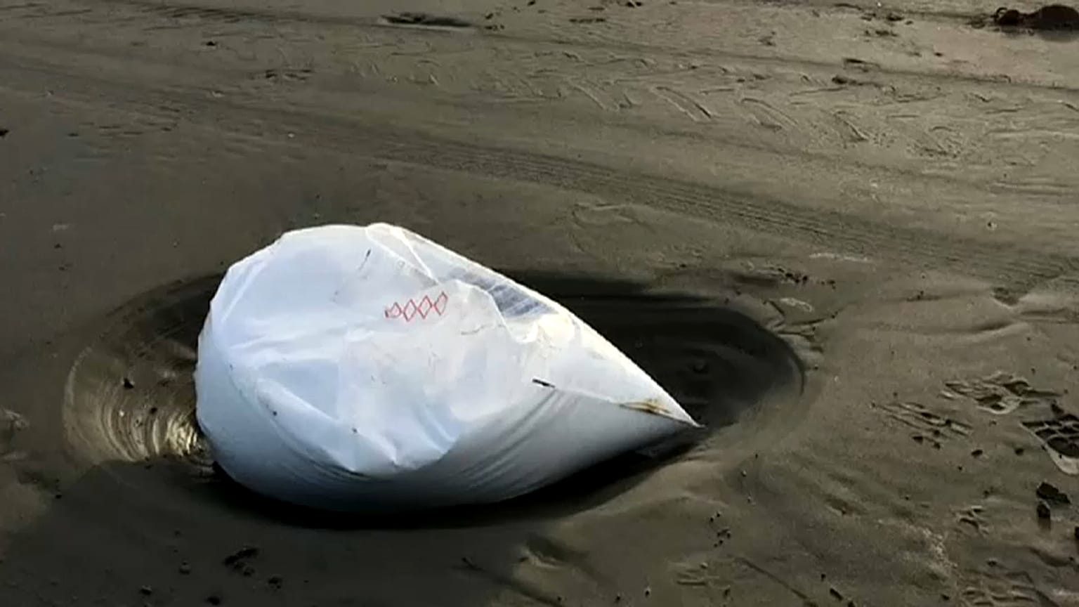 Conteneurs perdus : des plages des Pays-Bas souillées