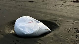 Conteneurs perdus : des plages des Pays-Bas souillées