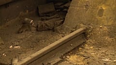 فيديو: جحافل الفئران تغزو نيويورك والسبب.. تغير المناخ    
