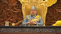 سلطان ماليزيا محمد الخامس