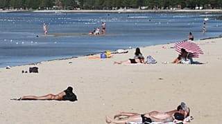 Miles de australianos víctimas de una invasión de carabelas portuguesas