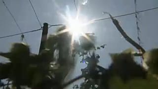 2018 viertwärmstes Jahr seit Beginn der Wetteraufzeichnungen