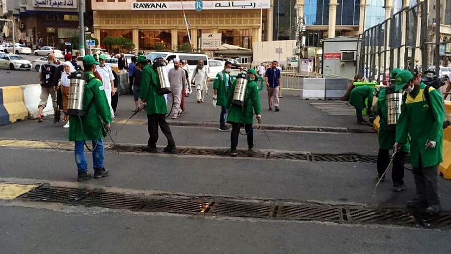 شاهد: صراصير "تغزو" مكة .... والسلطات الرسمية تستنفر 