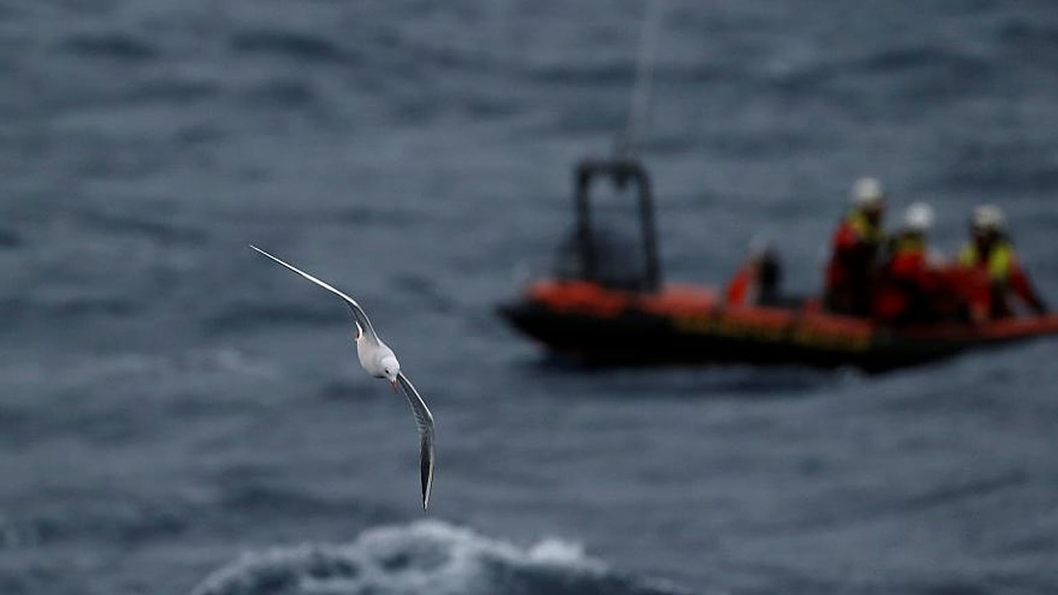 Σε οκτώ χώρες της ΕΕ θα μεταφερθούν από τη Μάλτα οι 49 μετανάστες