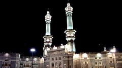 صحن مسجدالحرام در مکه پر از سوسک شد