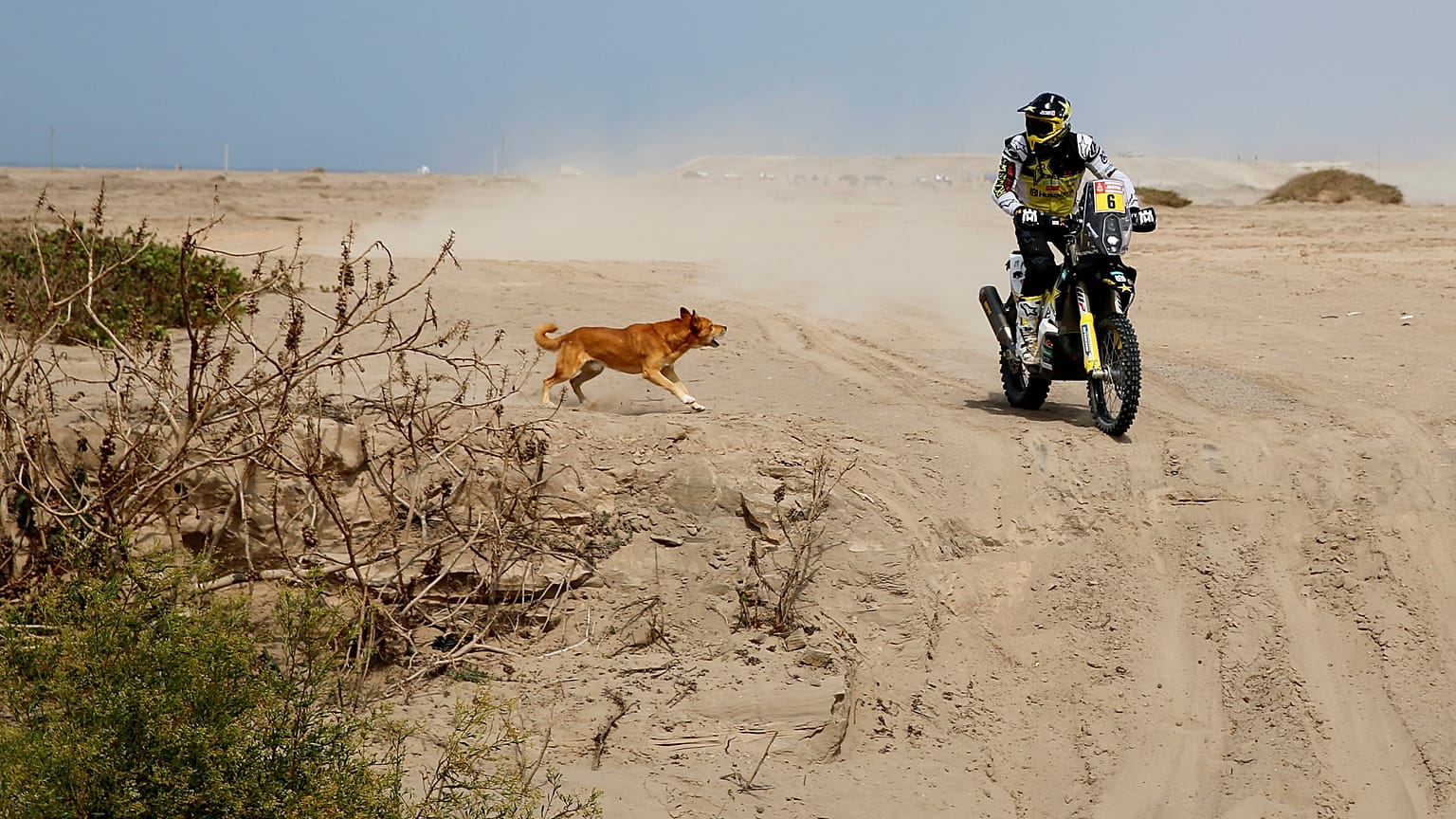 Hiérarchie bousculée sur le Dakar