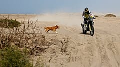 Al- Attiyah y Quintanilla toman el mando del Dakar