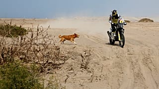 Hiérarchie bousculée sur le Dakar