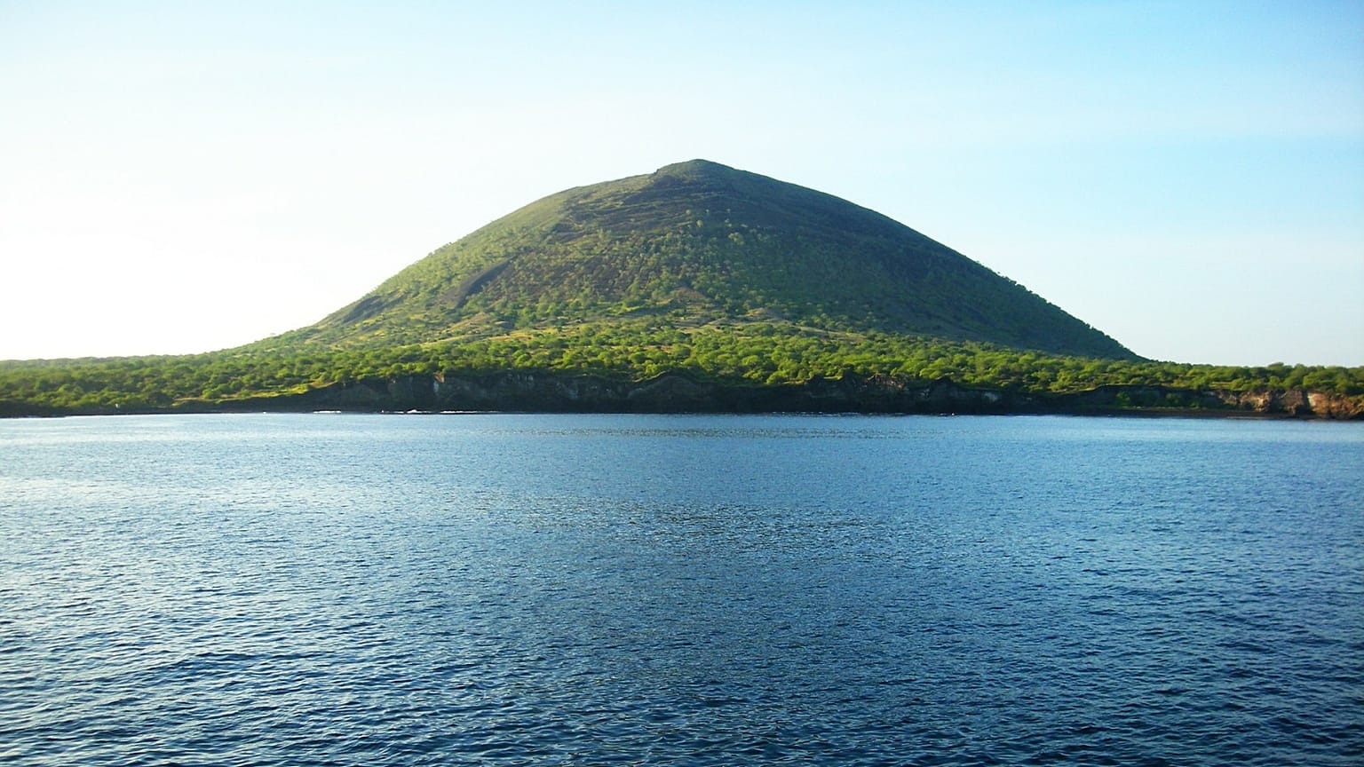 Darwin's iguanas help Galapagos restoration