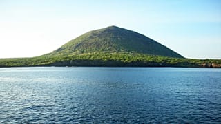 Darwin's iguanas help Galapagos restoration