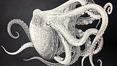 Watch: This beautiful octopus was cut out of a single piece of paper