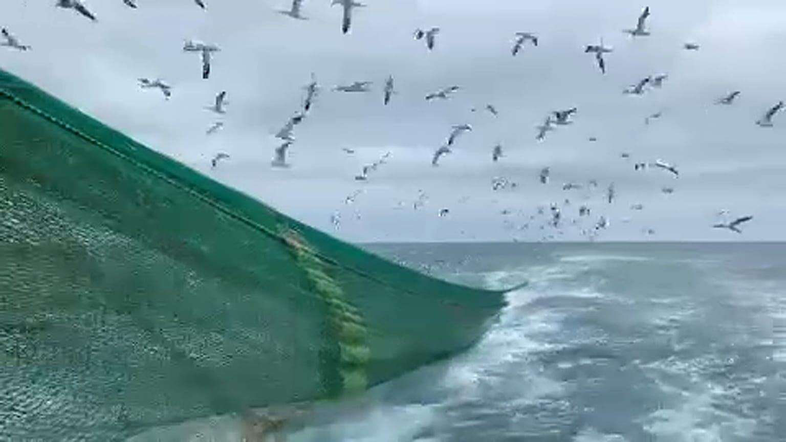 Preocupación de los pescadores franceses ante la proximidad del Brexit