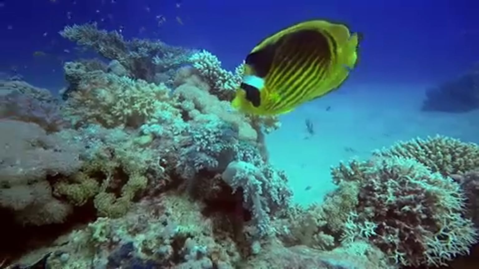 Temperatura dos oceanos aumenta
