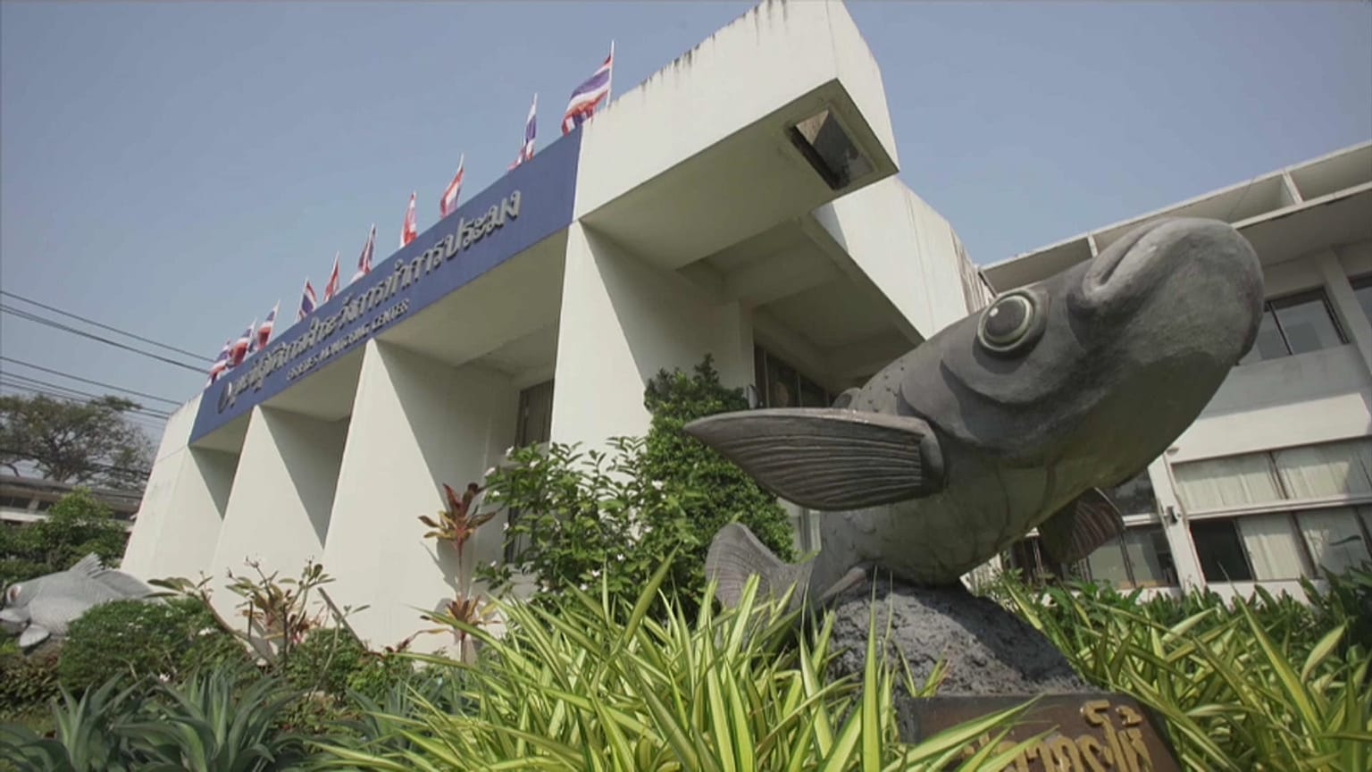 Why did it take 3.5 years for Thailand to get rid of the EU’s illegal fishing 'yellow card'? 