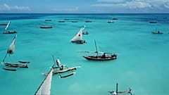 Kraken Cup: nel blu, dipinto di blu di Zanzibar