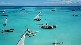 Kraken Cup: nel blu, dipinto di blu di Zanzibar