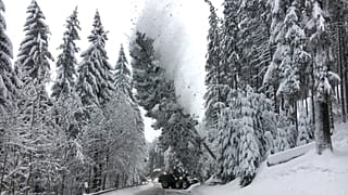 Severe snowfall brings parts of Europe to a grinding halt
