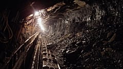 Chinese coal mine roof collapse kills 21: State media