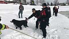 Mann rettet Hund