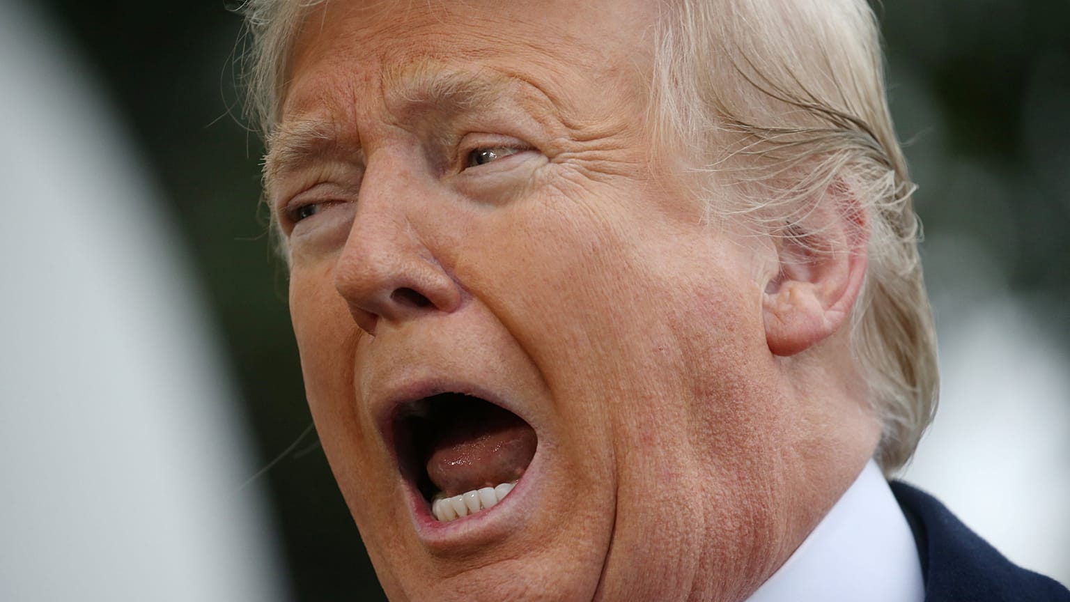 ABD Başkanı Donald Trump