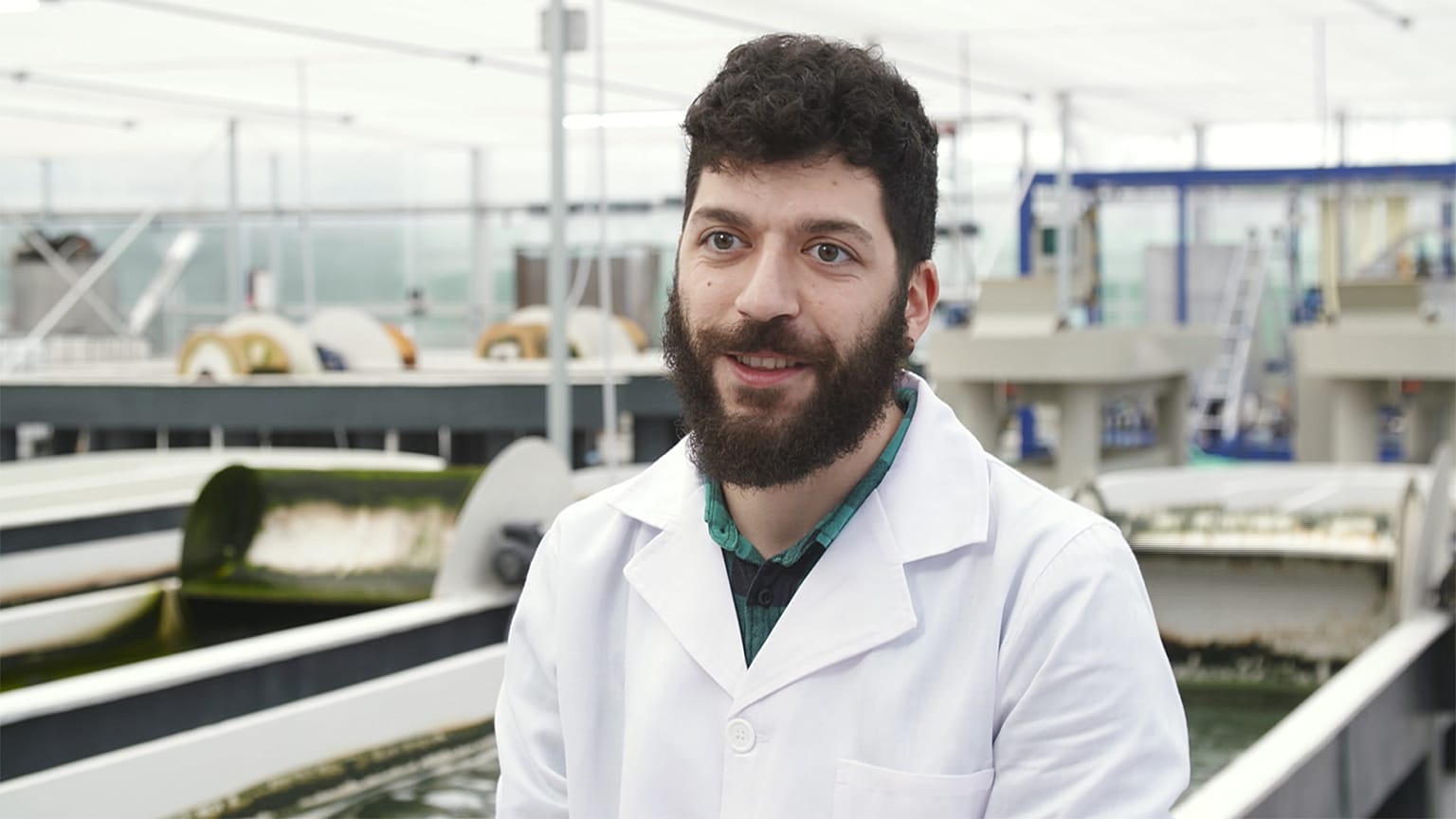 Zengin omega 3 kaynağı mikroalgler nasıl yetiştirilir?