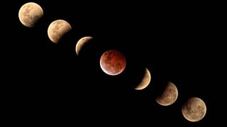 ما قصة البذور الصينية وغزو القمر؟