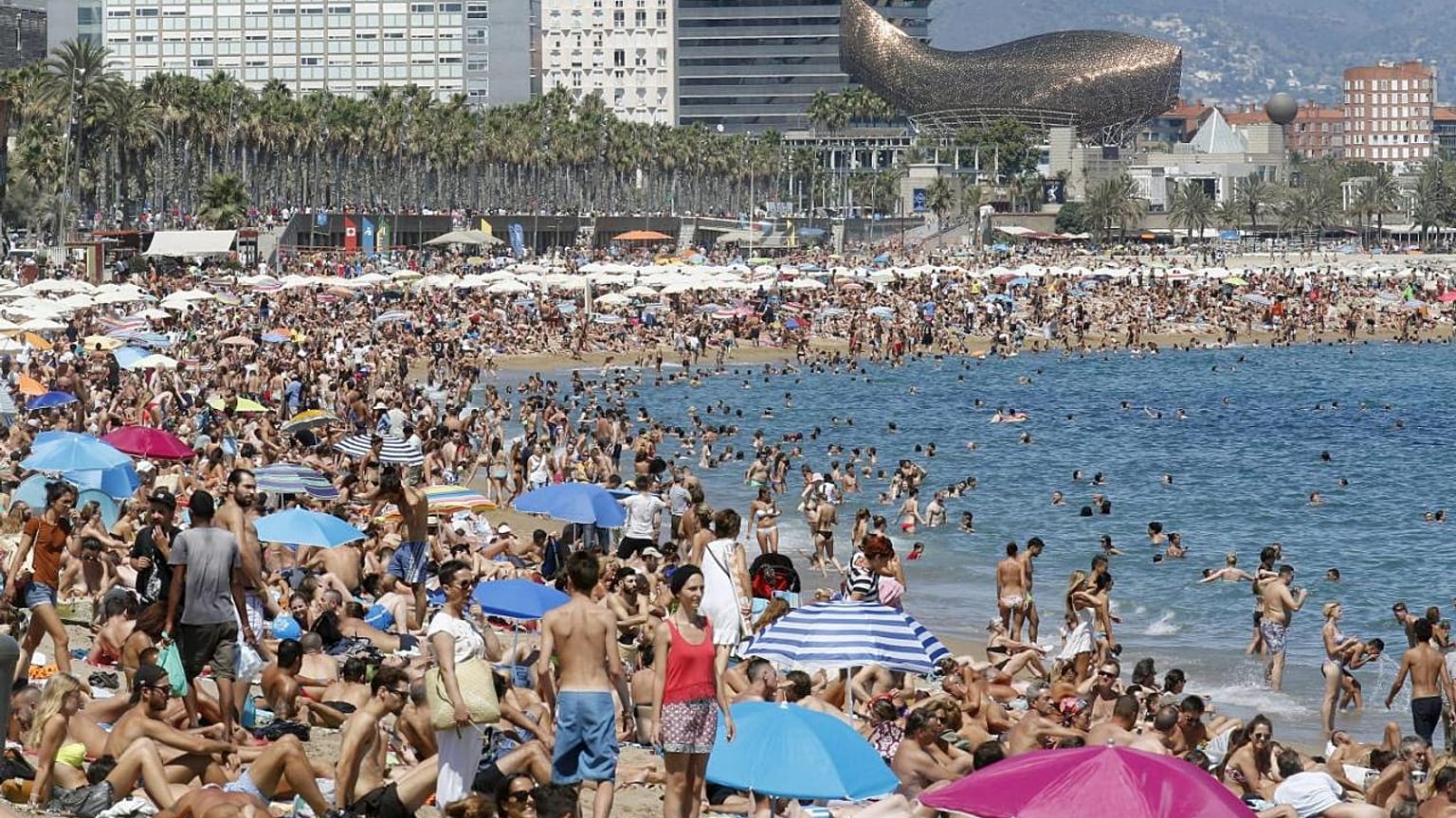 Reformados britâncos com futuro incerto em Espanha