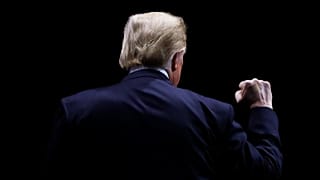 President Donald Trump has more in common with Alexander Hamilton.