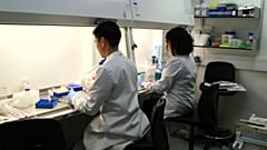 El Reino Unido deja de ser 'sexy' para los científicos