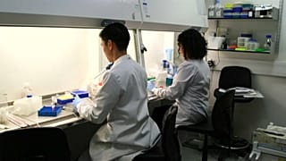 El Reino Unido deja de ser 'sexy' para los científicos