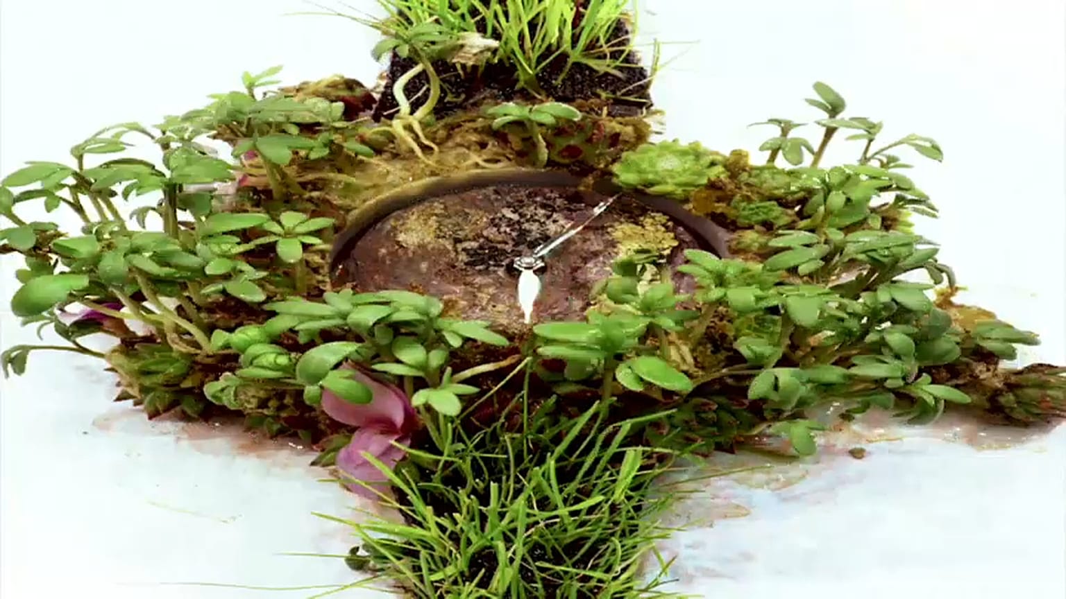 Moser Nature Watch: Doğa için vaktin daraldığını hatırlatan çevre dostu saat 
