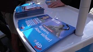 Far-right Alternative for Germany party to be investigated for extremism