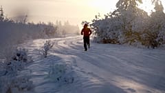 Благотворительный забег в Оймяконе на 50 км при -60°C