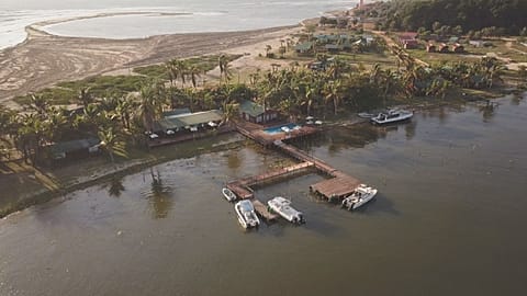 Ecoturismo em Angola: vida selvagem e safaris com surf