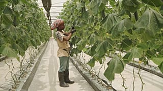 A aposta de Angola na diversificação económica