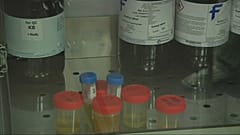 WADA вывезла московские данные