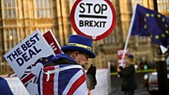 An anti-Brexit protester outside the Houses of Parliament on Jan 17, 2019.