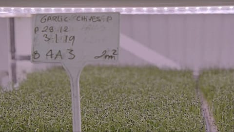 UK company experiments with new technology to grow crops underground