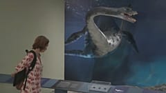"Quando Nem Tudo Era Gelo", a nova exposição do Museu Nacional do Brasil