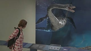 "Quando Nem Tudo Era Gelo", a nova exposição do Museu Nacional do Brasil