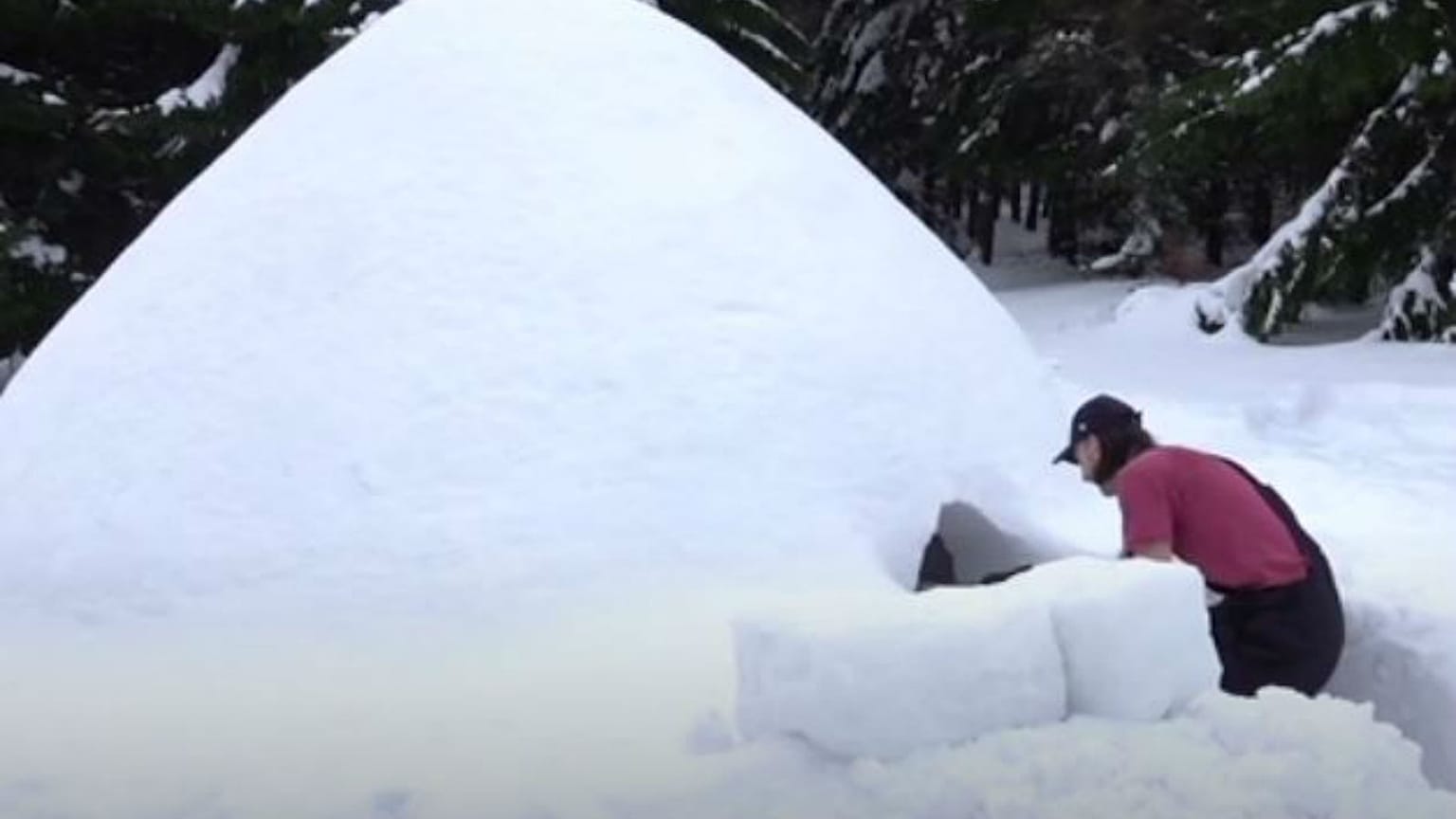 Carpenter builts achieves his dream of building a lifesize igloo