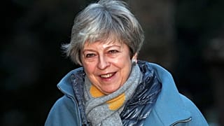 What did Theresa May say in her Brexit plan B statement to MPs?