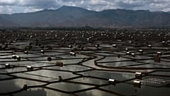 صورة لجزيرة سامباوا في إندونيسيا