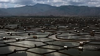صورة لجزيرة سامباوا في إندونيسيا