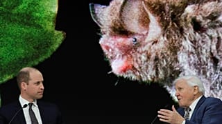 El príncipe Guillermo entrevista al naturalista Attenborough en el Foro Económico Mundial de Davos
