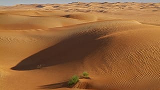 خليجيون في موكب صيد في صحراء تونس يواجهون اعتراضا من الأهالي