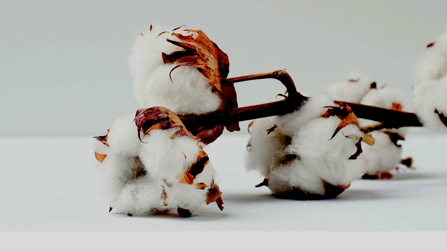 "You can make suits from a bottle" - Can plastic bottles be the new Egyptian cotton? 