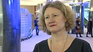 Sargentini: fizetett trollokat küld rám a magyar kormány